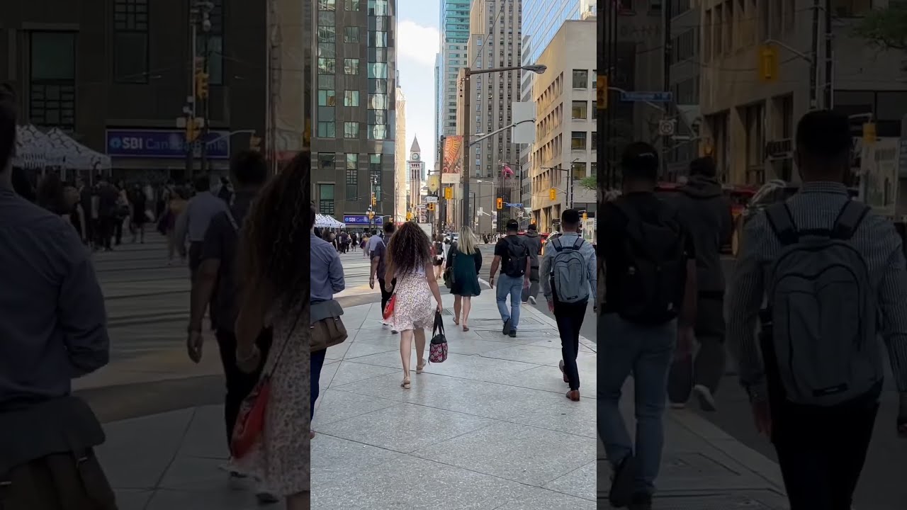 Walk On Bay Street In Toronto Canada Shorts