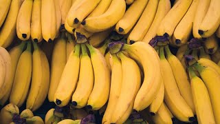 Italian Police uncover cocaine disguised as bananas