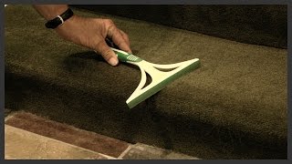 How to remove dog hair from carpet