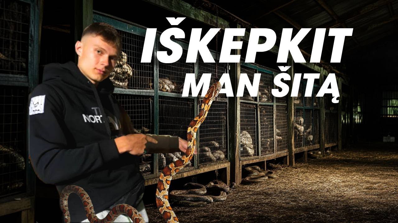 VALGAU GYVATĘ, ŽVEJOJU IR ŠERIU ANTIS