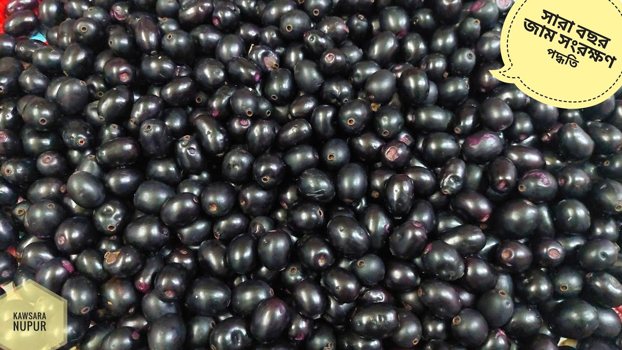 Jam frozen/preservation for the whole year in the right way | Kalo jam frozen process | Java Palm...