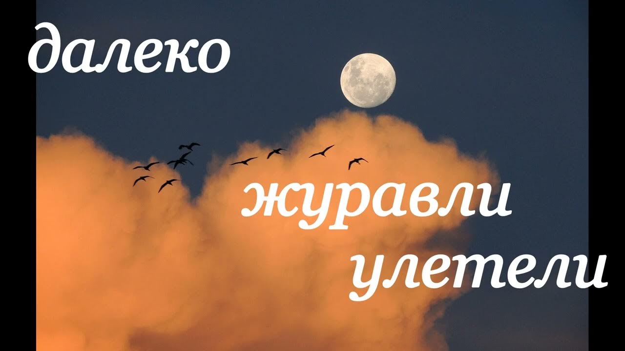 Далеко-далеко Журавли улетели. Песня далеко Журавли улетели. Далеко далеко Журавли улетели слова. Песня далеко далеко Журавли.