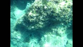 Varkiza Beach, W Fish, Vougliagmeni, Greece