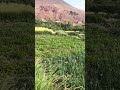 أجمل مناظر ترهوم في حياتك 😑#المغرب