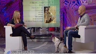 Come curare e instaurare un buon rapporto con il Jack Russell