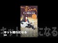 LISA(呉梨沙) 『キット晴れになる』『愛らしく生きてゆくんです、絶対&#39;96』