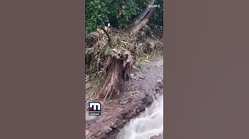 ഒഴുക്കിൽപ്പെട്ട് ട്രാവലർ.. വീടുകളിൽ ഉൾപ്പടെ വെള്ളം കയറി! ഇടുക്കിയിൽ നാശം വിതച്ച് മഴ | Idukki