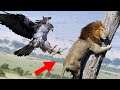 40 Times Animals Messed With The Wrong Opponent!