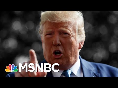 President Trump Rebuked By House For Syria Decision And ‘Meltdown’ - The Day That Was | MSNBC