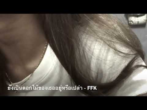 ยังเป็นดอกไม้ของเธออยู่หรือเปล่า - FFK       Cover ffangwix