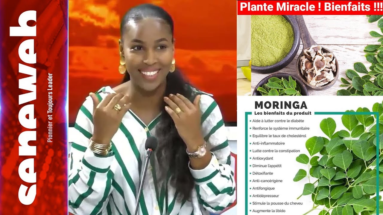 Renforcement sexuel, riche en vitamines...: les vertus du "Never Die" ou Sapp Sapp...