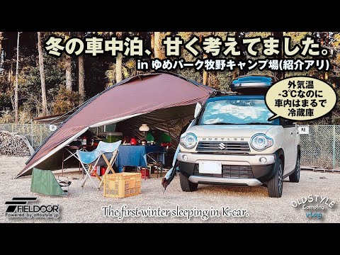 冬の車中泊を甘く考えてました。in ゆめパーク牧野【車中泊キャンプ】