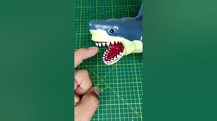 I FOUND A SHARK #curiosities #toys #shorts