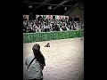 Poor Dog💔#dog #disability #dogs #race #animals