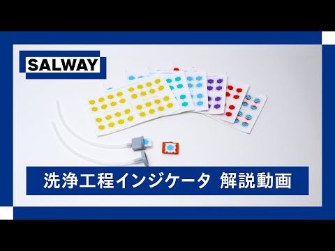 動画