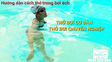 Hiểu Về Bơi Ếch - Giải Đáp Kỹ Thuật Thở Cơ Bản Và Chuyên Nghiệp Trong Bơi Ếch | Trung Tâm Dạy Bơi