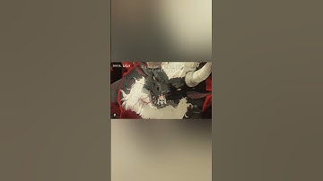 Con thủy quái này nhìn lực quá☠️#cauca #edit #caucavancan #nunuvietsub câu cá vạn cân tập 47phần2