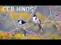 CCB   Lindos Hinos Cantados   Eu desejo, Senhor, só em Ti descansar