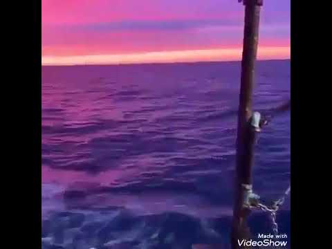 حالة واتس احمد سعد انا مين وفين انا اي سألت نفسي كتيرر