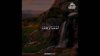 Beautiful Quran Recitation for Deep Soul Healing and Heart Serenity #HolyQuran #Healing
