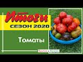 Томаты 2020. Впечатления от сезона.