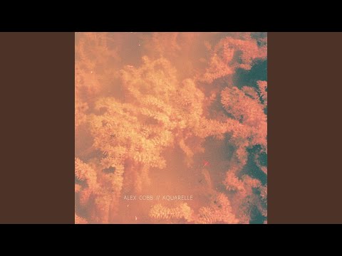 Alex Cobb — The Body is the Mirror