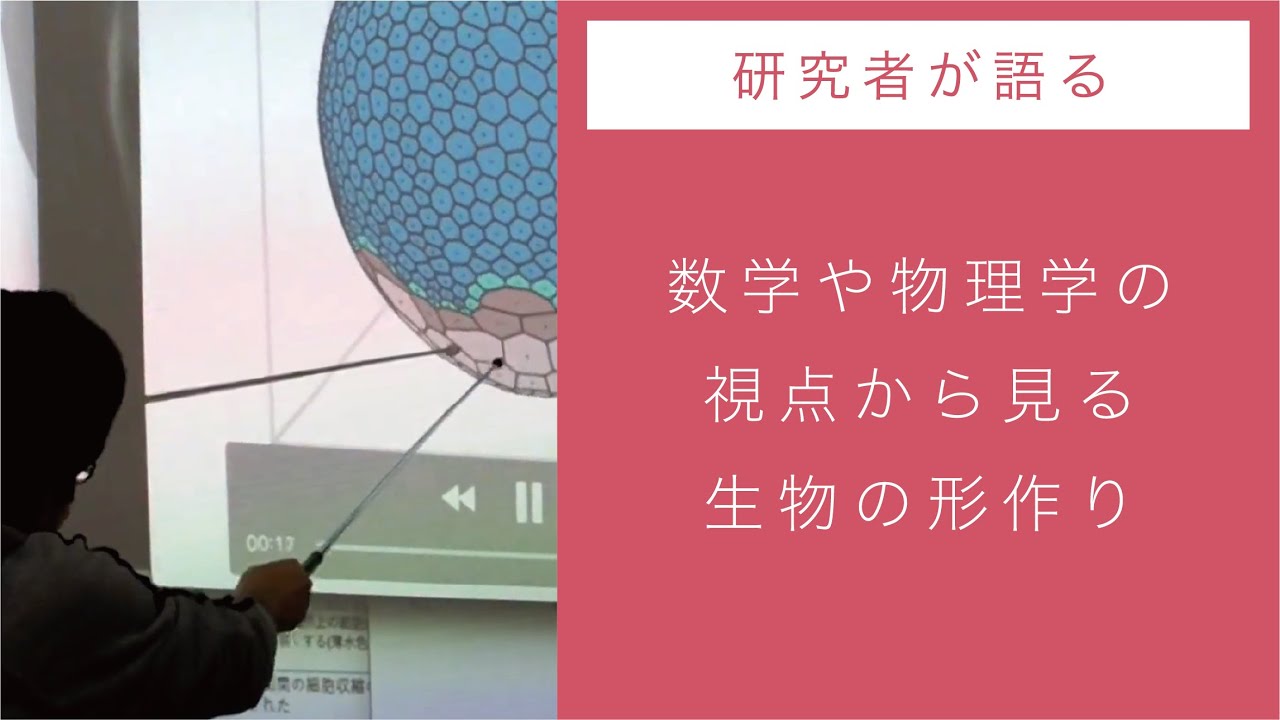 生命誌クモラボ研究員レクチャー 数学や物理学の視点から見る生物の形作り Youtube