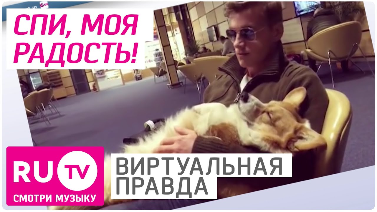 Кэти вест с собакой