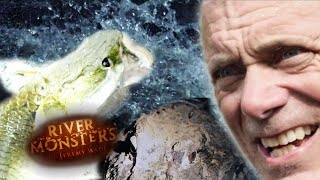 THE BEST Catches of Season 6! | COMPILATION | River Monsters