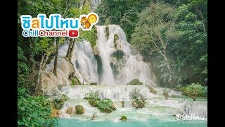 น้ำตกตาดกวางสี หลวงพระบาง สัมผัสธรรมชาติเต็มๆ ที่ลาวเหนือ