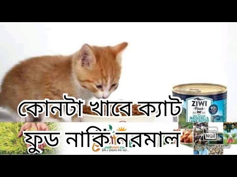 ভিডিও: শুকনো এবং ক্যানড বিড়াল খাবারগুলিতে প্রোটিনের অবাক করা স্তর