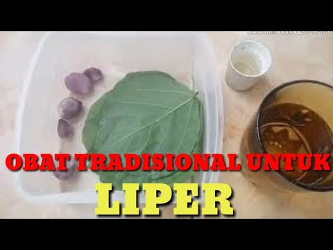 Obat untuk liper yang sudah parah 