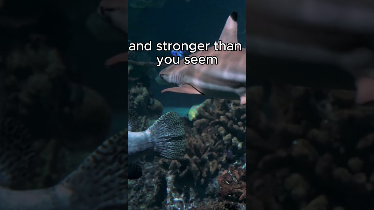 Quote about Life by A.A Mine 