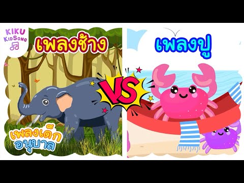 เพลงเด็กอนุบาล ช้าง vs ปู | ช้างช้างช้าง จับปูดำ ขยำปูนา | kiku kidsong