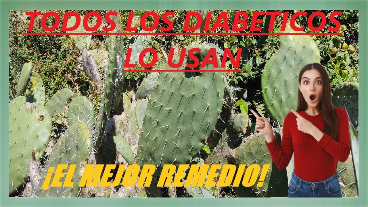 Propiedades De La Tuna Fruta Del Nopal El Nopal Tuna Y Sus Innumerables