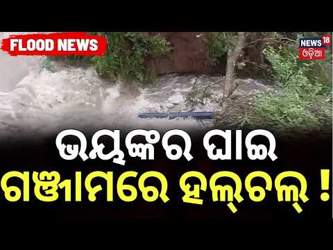 ଗଞ୍ଜାମରେ ବିରାଟ ଘାଇ ! Ganjam Flood Situation Worsens | Baghua River Embankment Breach | Odisha Flood