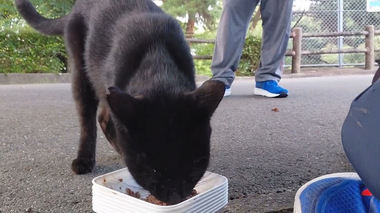 〇 totoちゃん‪❤︎‬‪❤︎‬‪❤︎‬ Toto-chan always makes an appearance! She gets crunchy toppings