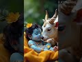 #jai shree shyam #jai shree Krishna #shyam #jai