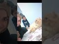 #cat #yavruhayvanlar #reels #kedi #kedde #catvideos #love #keşfet #animals #cute #cat #reels #cat