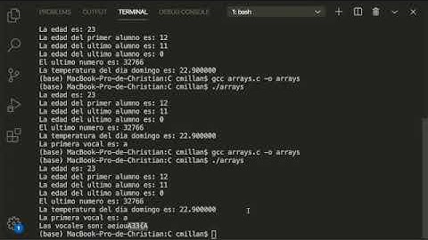 L05.1.1.4 Programación en C - Arreglos Unidimensionales - Char y Cadenas