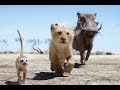Hakuna Matata Español Latino Clip HD El Rey León 2019 Hakuna Matata Español Latino Clip HD El Rey León 2019