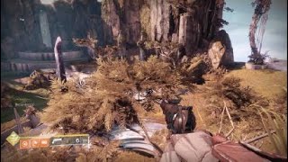 Destiny 2 - Present a small gift - Dreaming city location