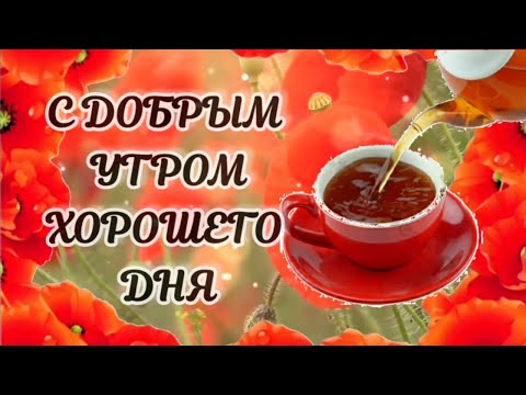 Доброго Утречка / Отличного Настроения / С Добрым Утречком #пожеланиясдобрымутром #доброеутро