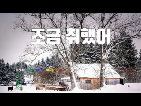[은성반주기] 조금취했어 - 임재현 /MR/가사