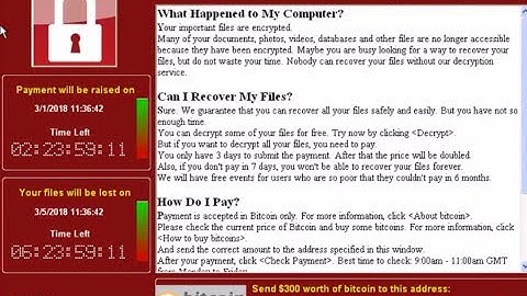 The Infamous CryptoLocker, that took the world by storm IN ACTION