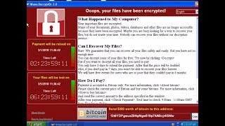 The Infamous CryptoLocker, that took the world by storm IN ACTION