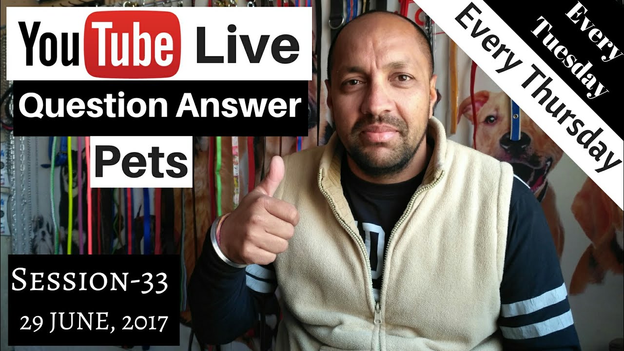 gsダーツ Bhola Shola Live - Question and Answer - 29 June, 2017