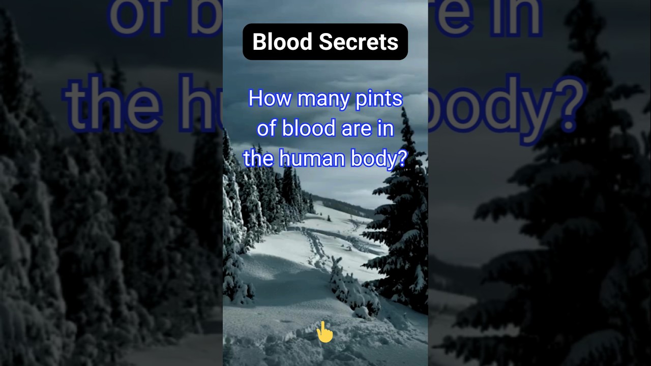 How many pints of blood are in the human body?