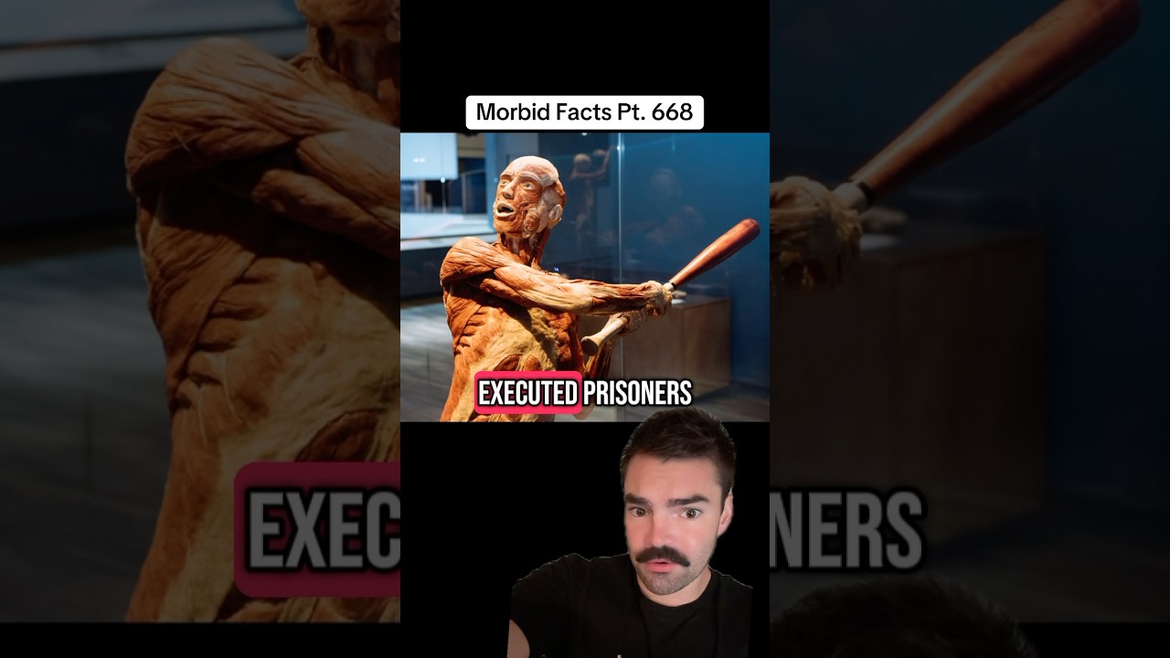 Темная правда о выставке BODIES 