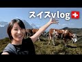 【スイス旅】ヨーロッパの絶景スポット!50分かけて行ったのにとんでもない結末に、、、